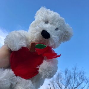 Kids Bear Plush Teddy Bear with Apple